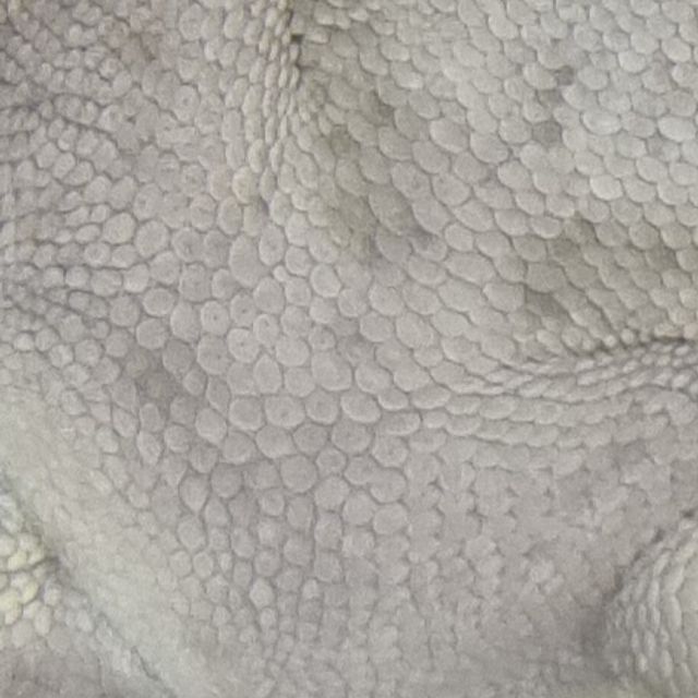 아잔틱
