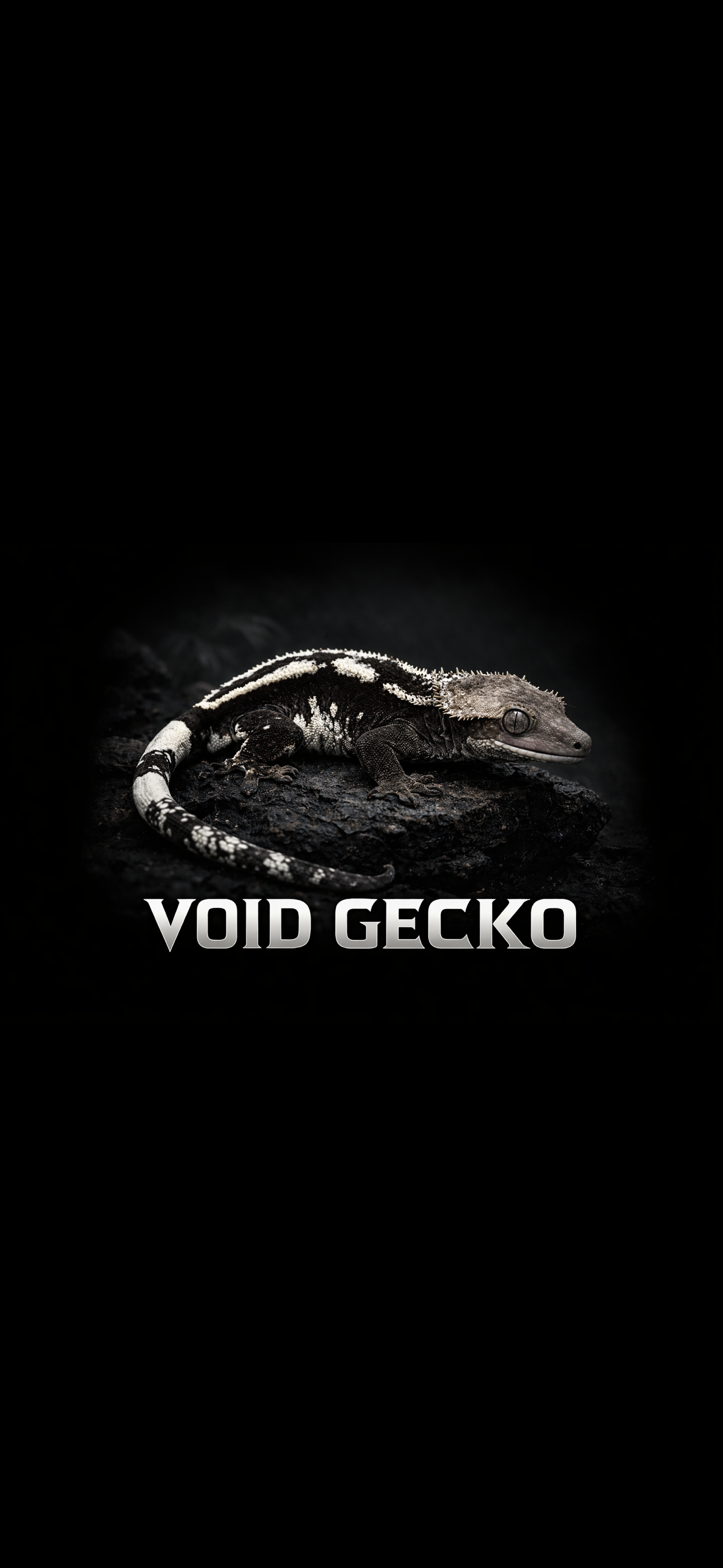 VOIDGECKO