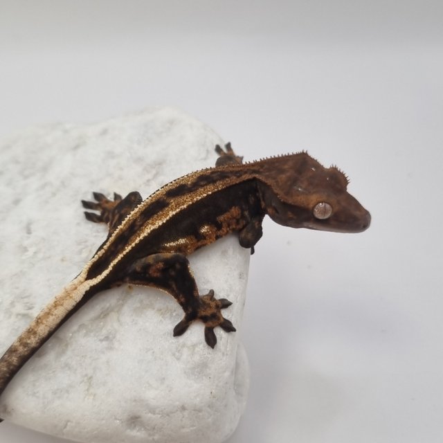 블랙 풀핀 슈퍼스트라이프 엠티백