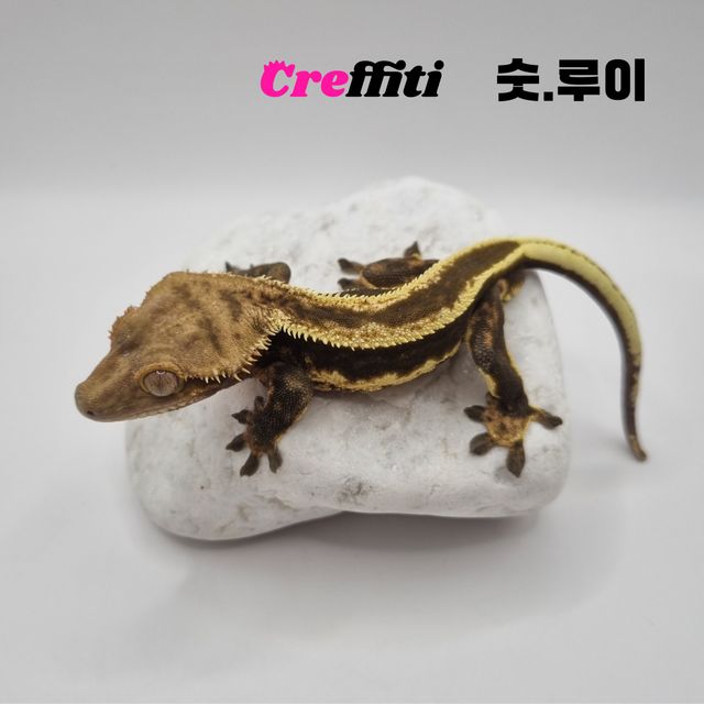슈퍼스트라이프 엠티백 풀핀 다크 블랙