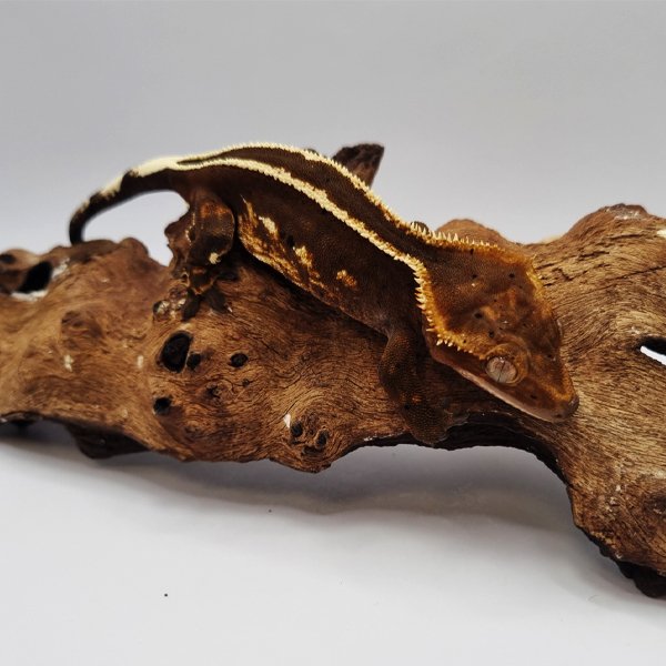 블랙 풀핀 슈퍼스트라이프 엠티백 오닉스