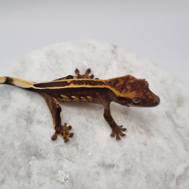 블랙 풀핀 슈퍼스트라이프 엠티백