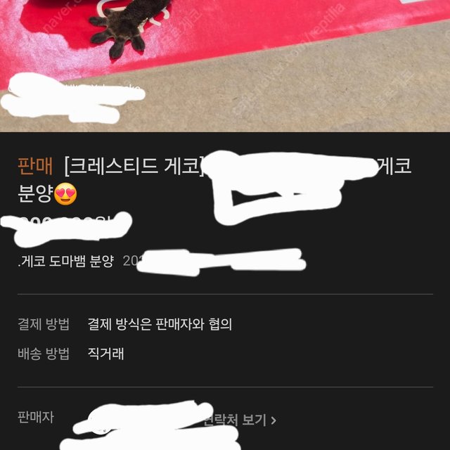 카푸치노