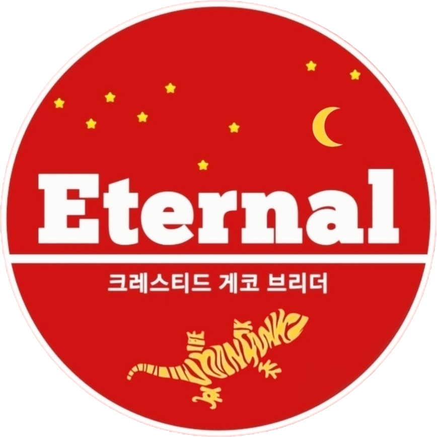 이터널게코