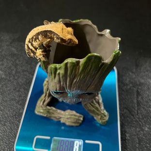5번
