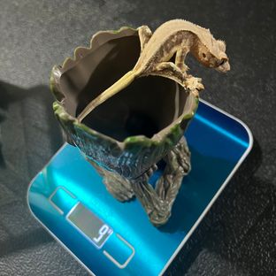 6번