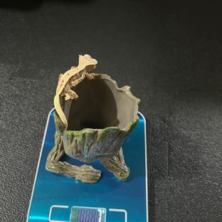 9번