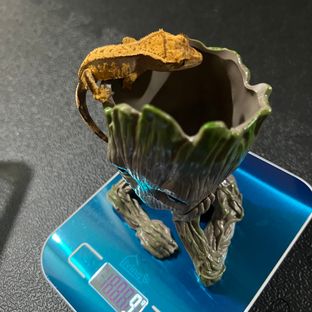 3번