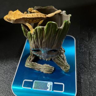 1번