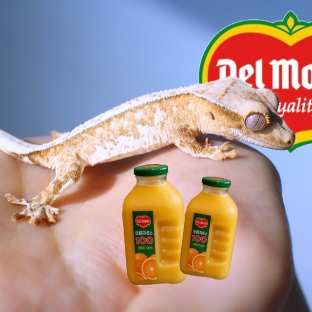 노멀 드리피 화이트스팟 옐로우 크림 크림시클