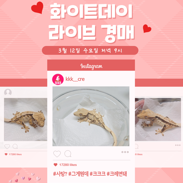 노멀