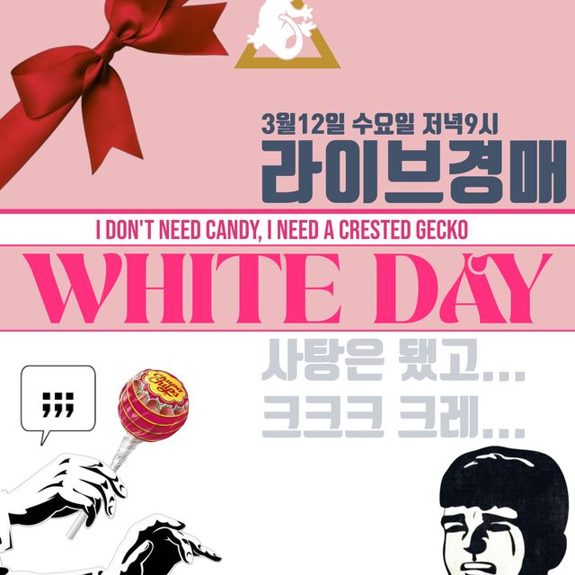 노멀