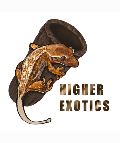 HigherExotics