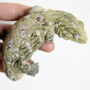 하이 컬러 파인아일랜드 노멀