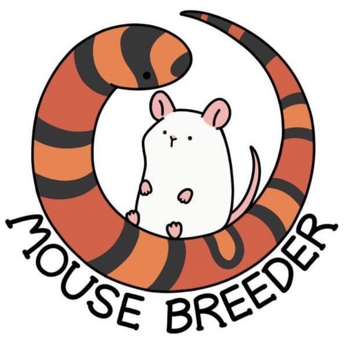 마우스브리더
