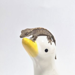 할리퀸