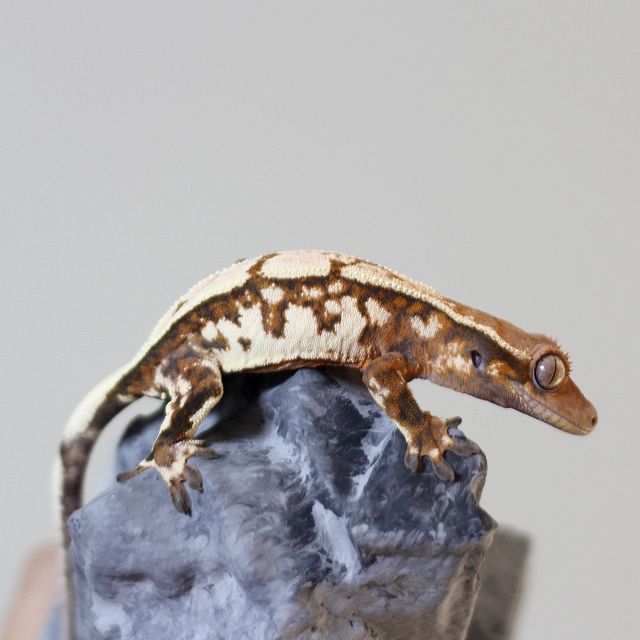 세이블