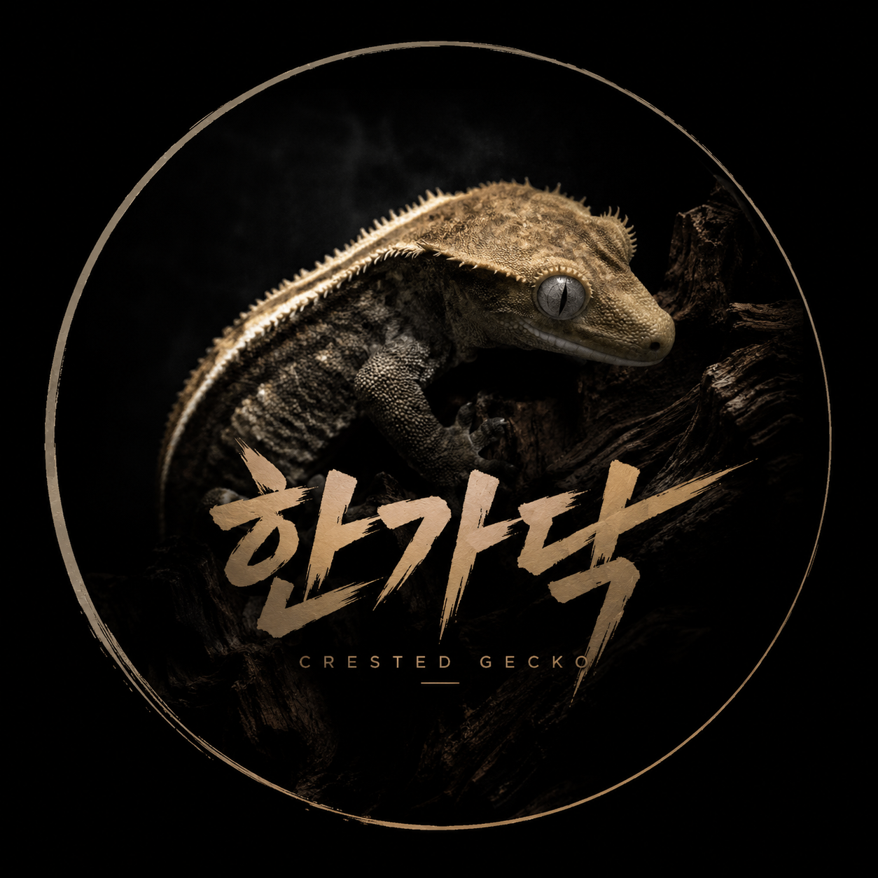 한가닥