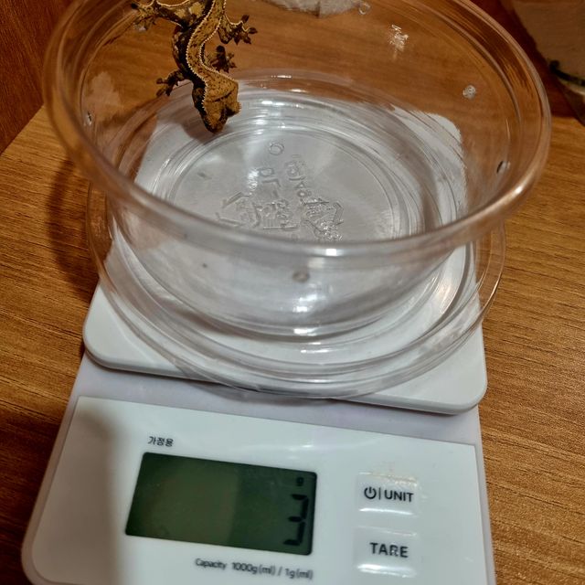 노멀 풀핀 핀스트라이프