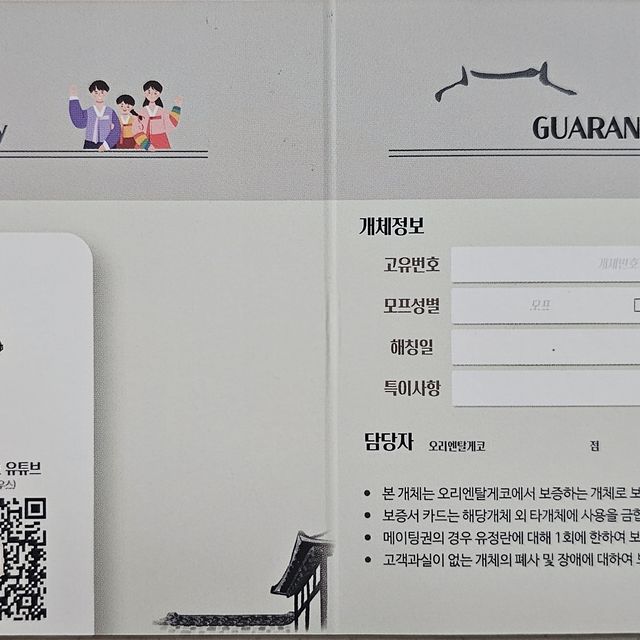 노멀 트라이 풀핀