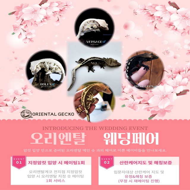 노멀 드리피