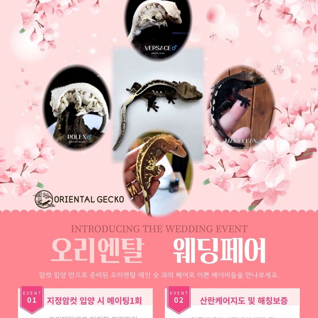 노멀 크림시클