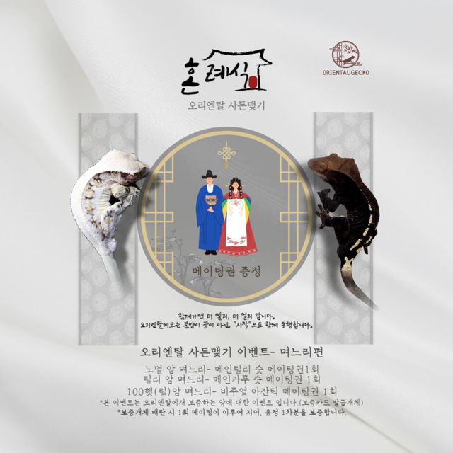 100%헷아잔틱