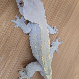 연평도