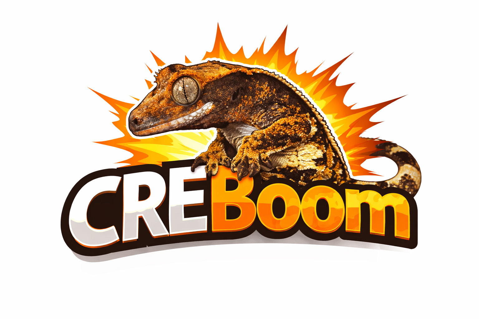 CREBOOM