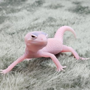 디아블로블랑코