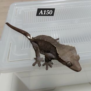 A150
