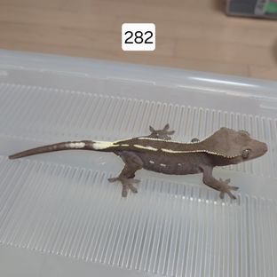 282