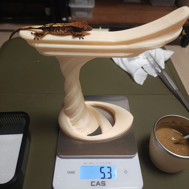 카푸치노