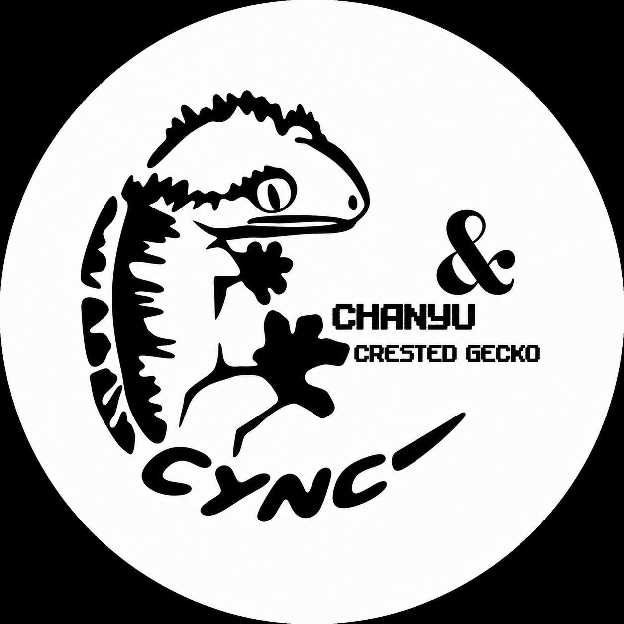 찬유cyncgecko