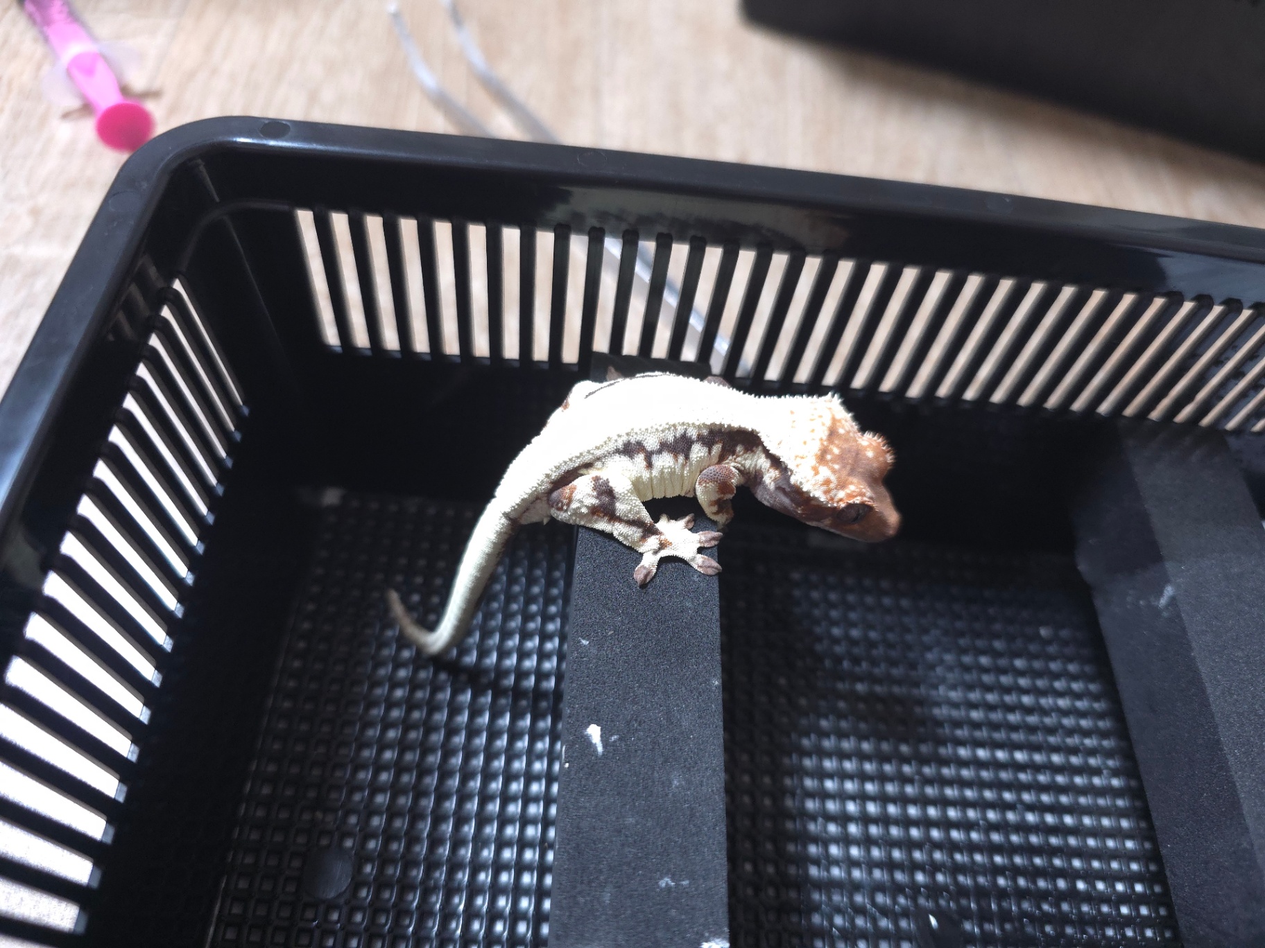 비케이cre
