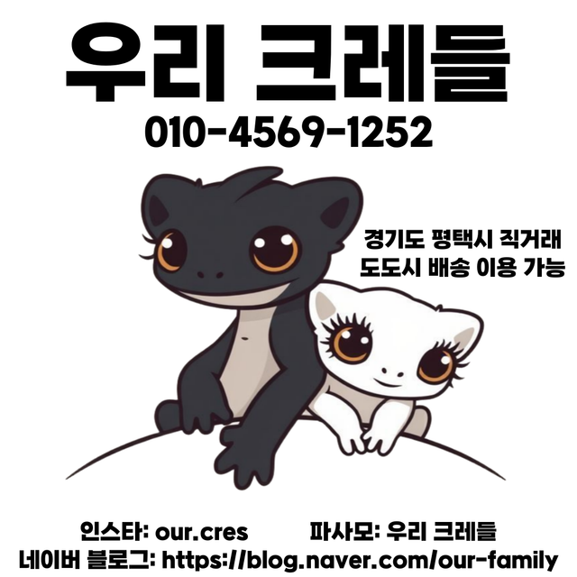 아잔틱