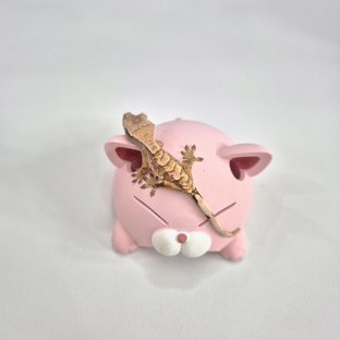 노멀 트라이 할리퀸