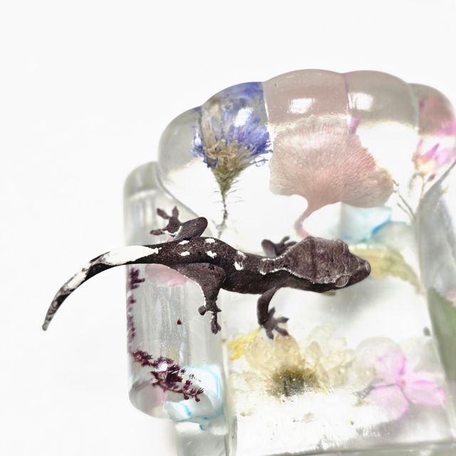 아잔틱