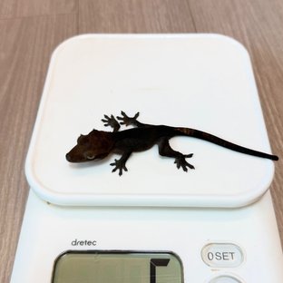 베이비2