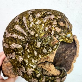 A.D.