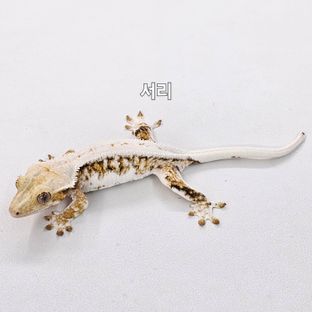 서리