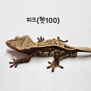 피크