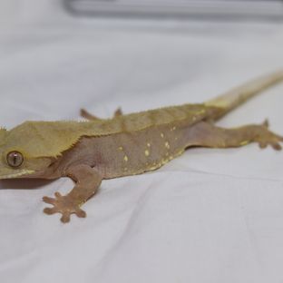 가을