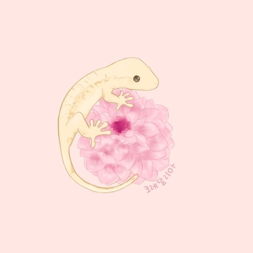 크레달리아