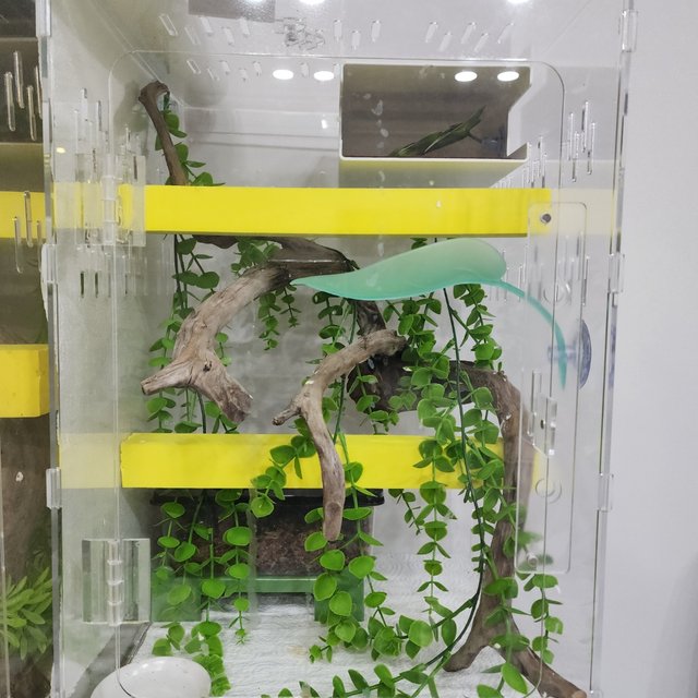 엠티백 핀스트라이프