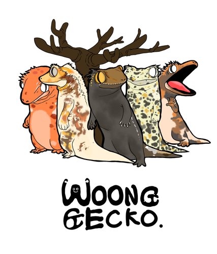 WoongGecko