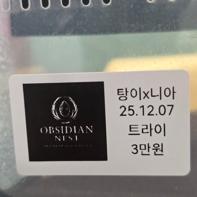 트라이 익스트림할리퀸