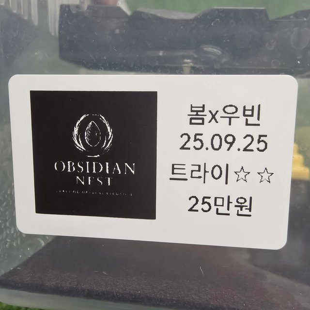 트라이 익스트림할리퀸