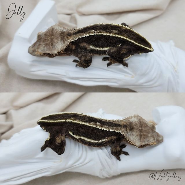 엠티백 블랙