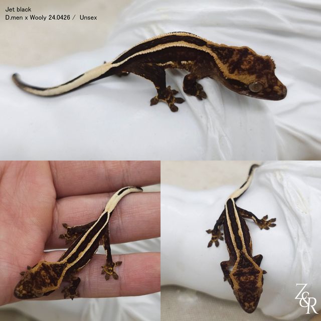 블랙 엠티백